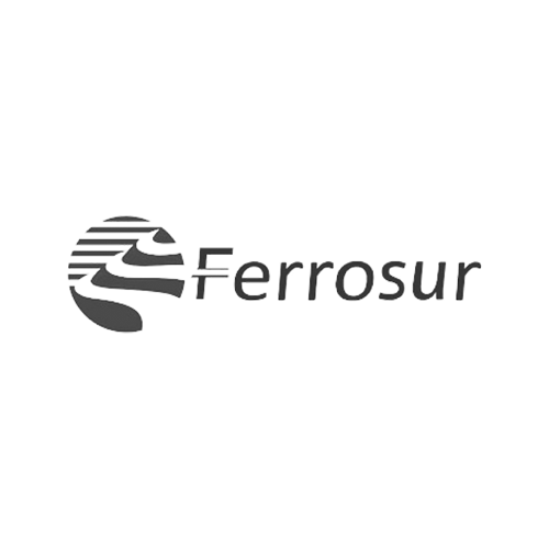 ferro sur