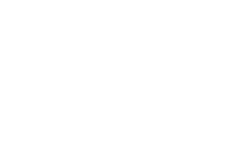 ELEVACIÓN SEGURA