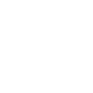 ESTRIBOS DE USO RUDO