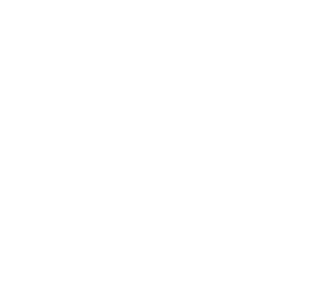 Hi Rail
