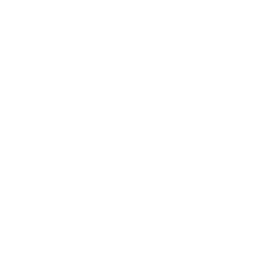 INGENIERÍA ESPECIALIZADA