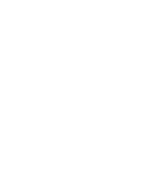 SEGURIDAD GARANTIZADA