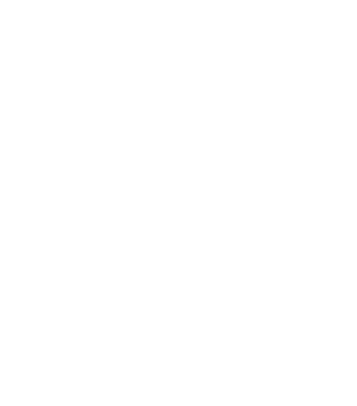 SEGURIDAD INTEGRAL