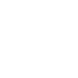 SEGURIDAD OPERACIONAL