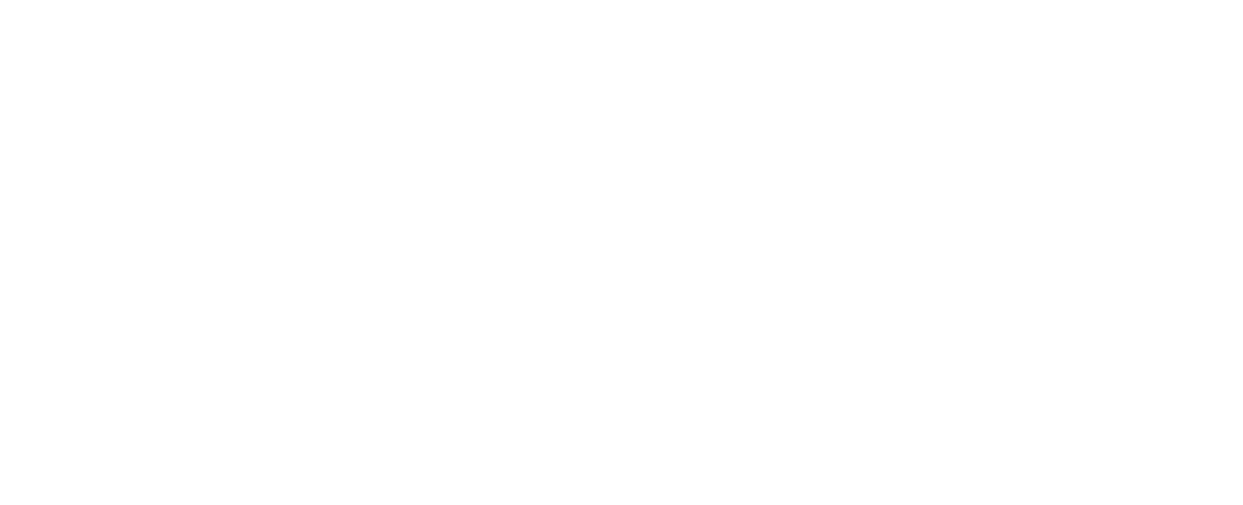 Solución e Ingenio Logo